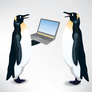 penguin-google-algorithm-update